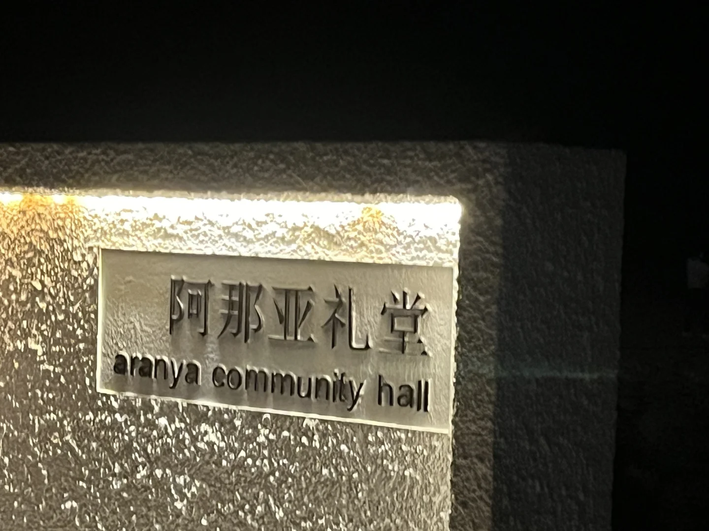 🌊海浪电影周｜在阿那亚的那17天🎦