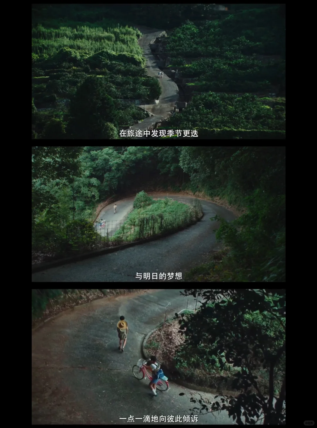 挑战看完100部电影：第5⃣️2⃣️部