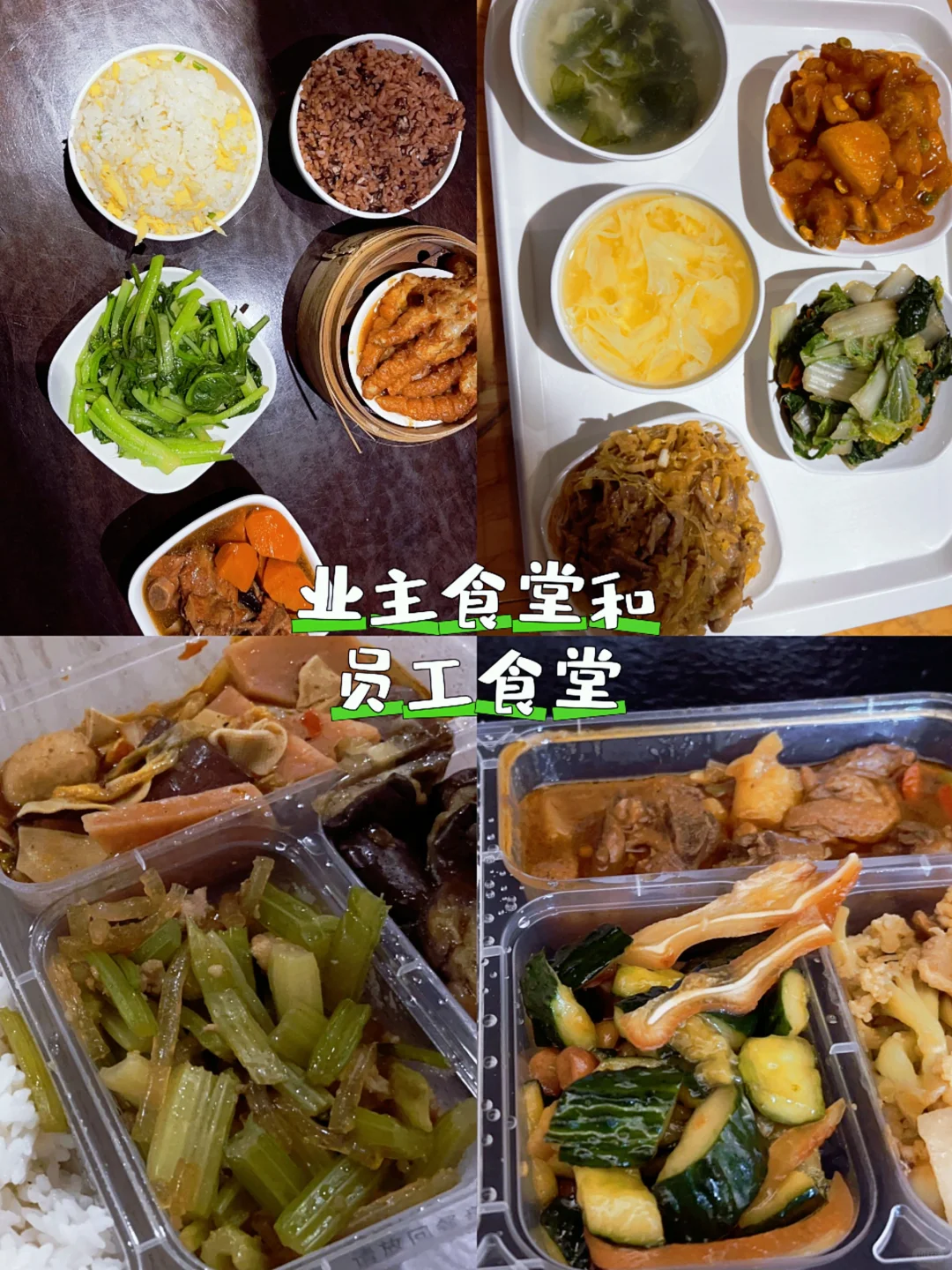 🌊海浪电影周｜在阿那亚的那17天🎦