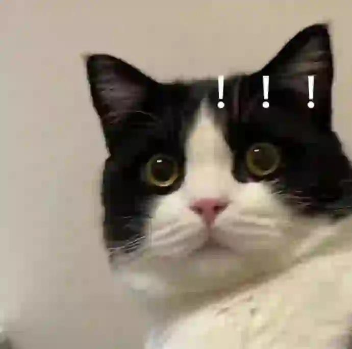 十年前玩各大app巴不得所有人都互关，