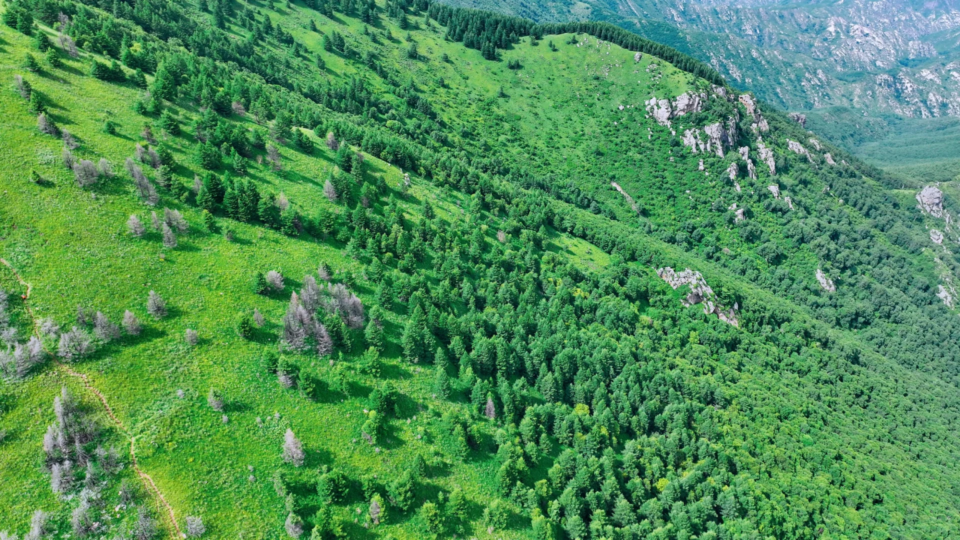 户外天气软件还准吗，西南灵的天是明朗的天