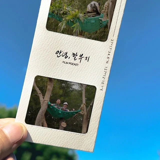 台灣➗福寶《再見，爺爺》電影套組🐼