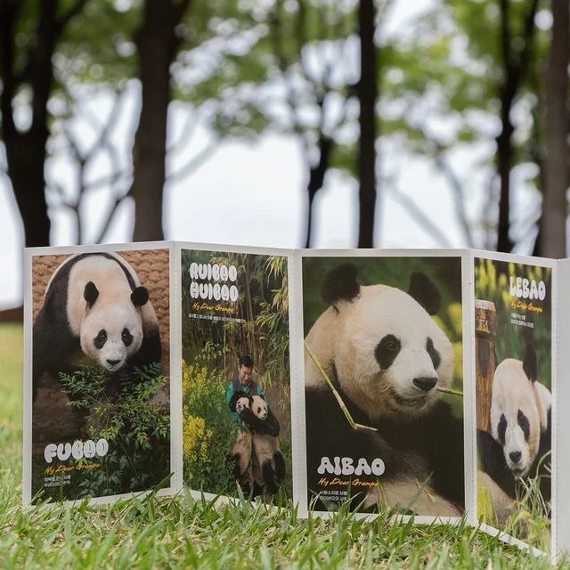 台灣➗福寶《再見，爺爺》電影套組🐼