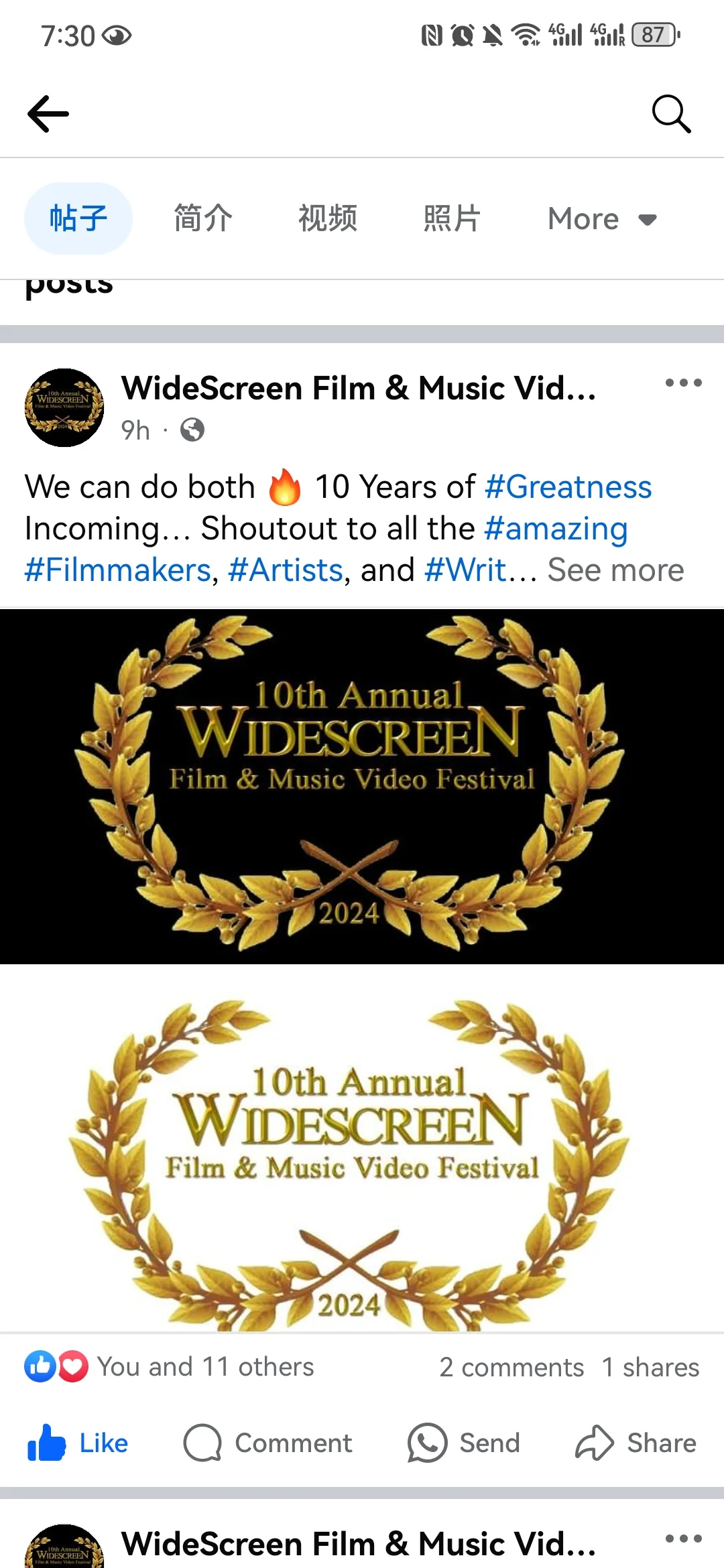 获得加拿大多伦多宽银幕电影节荣誉提名奖