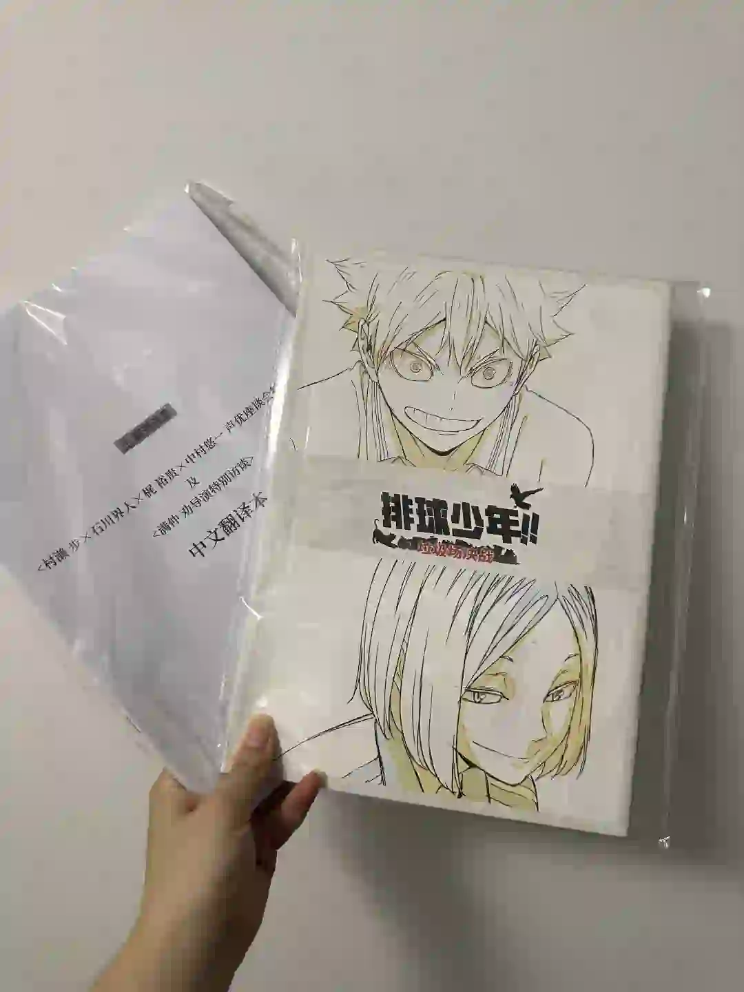 小排球电影特典