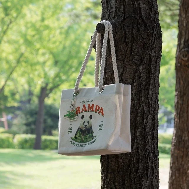 台灣➗福寶《再見，爺爺》電影套組🐼