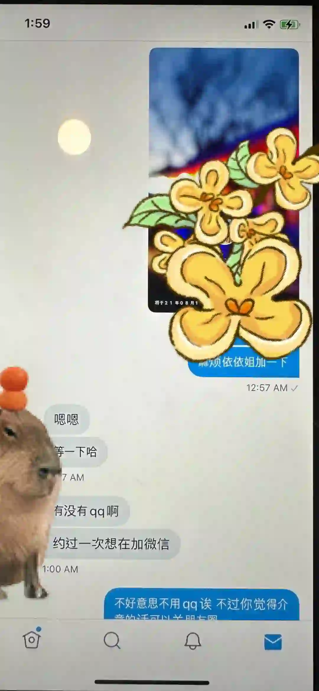 这是什么聊天软件？