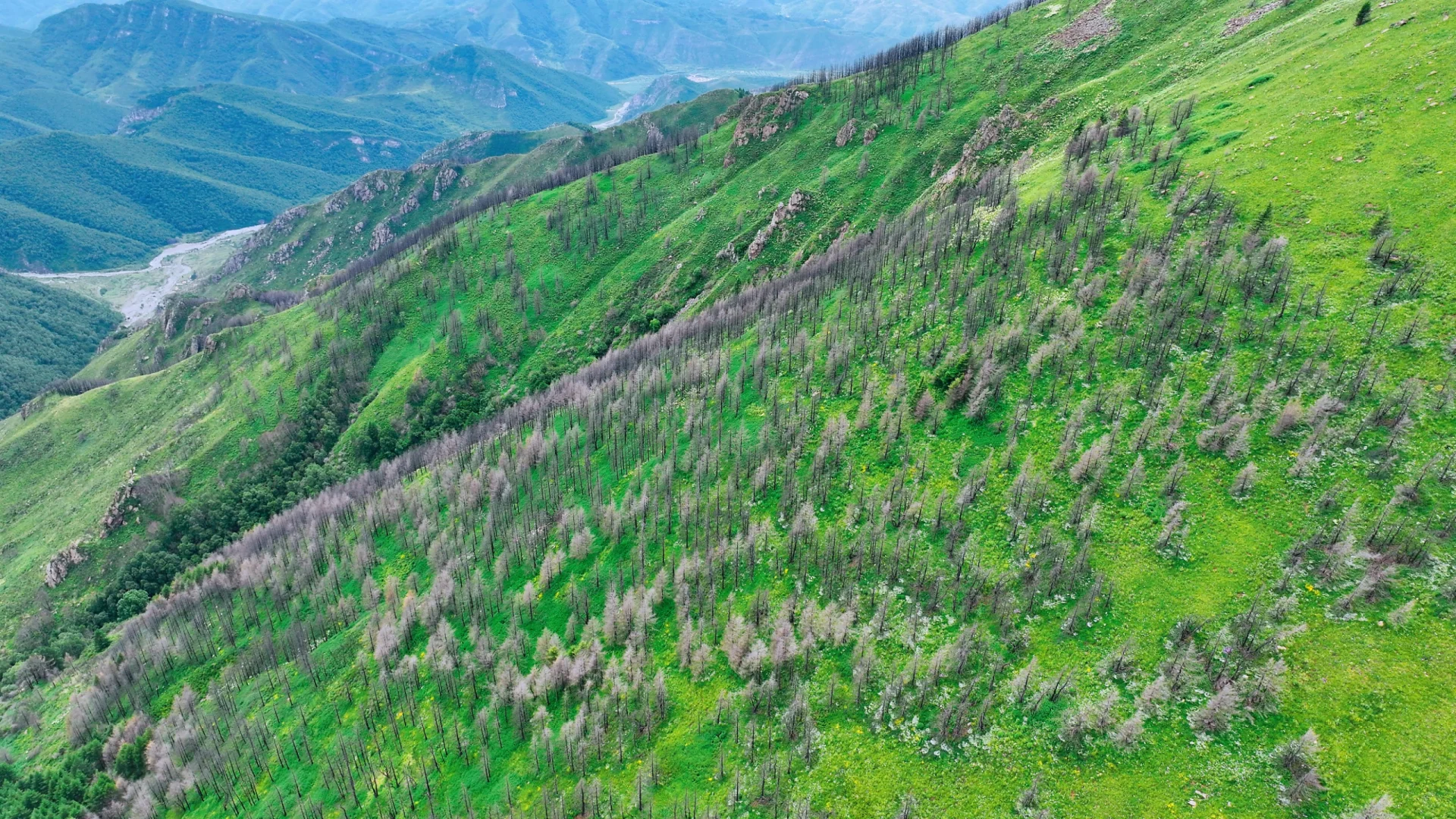 户外天气软件还准吗，西南灵的天是明朗的天