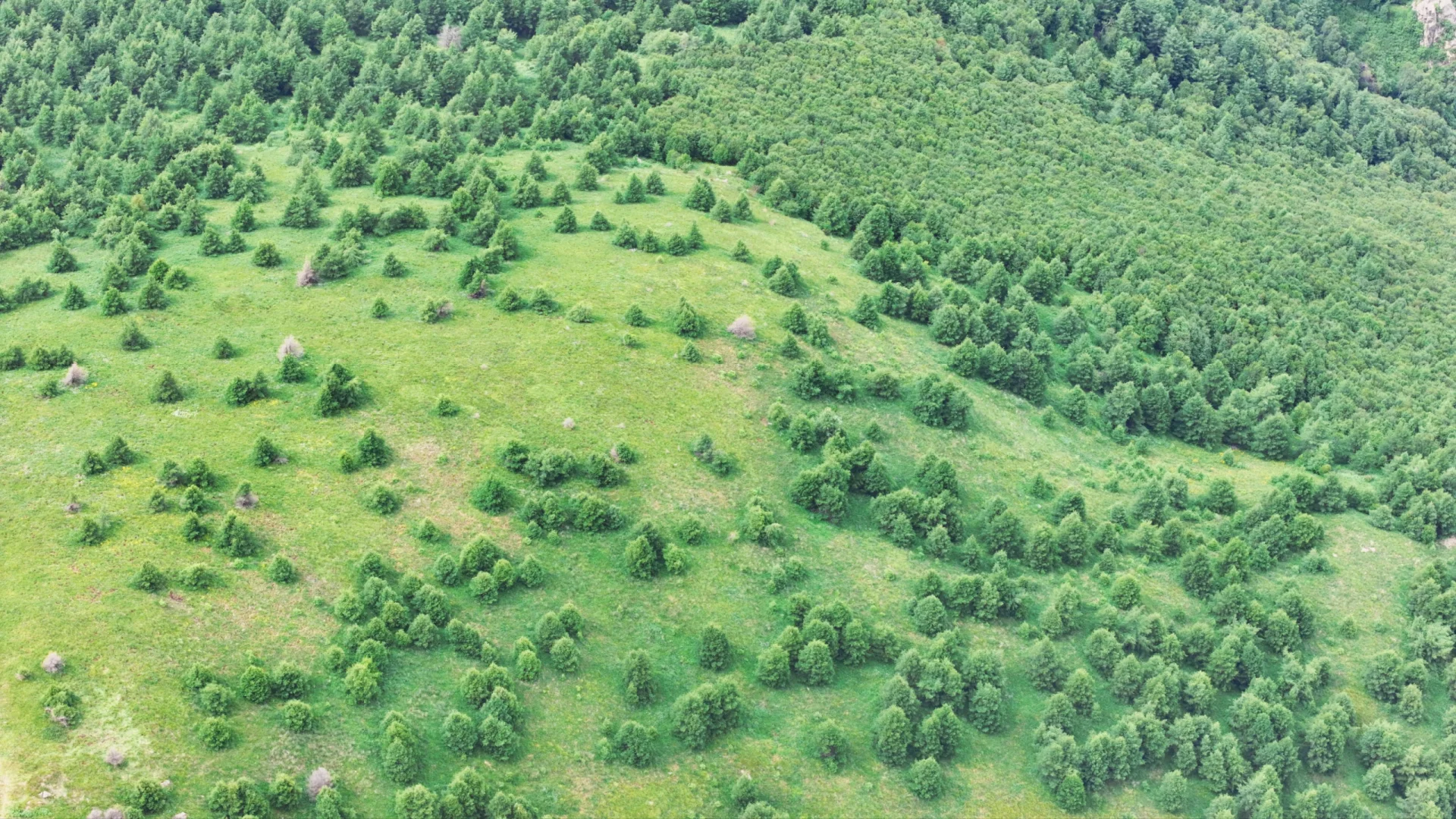 户外天气软件还准吗，西南灵的天是明朗的天