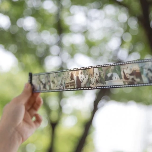 台灣➗福寶《再見，爺爺》電影套組🐼