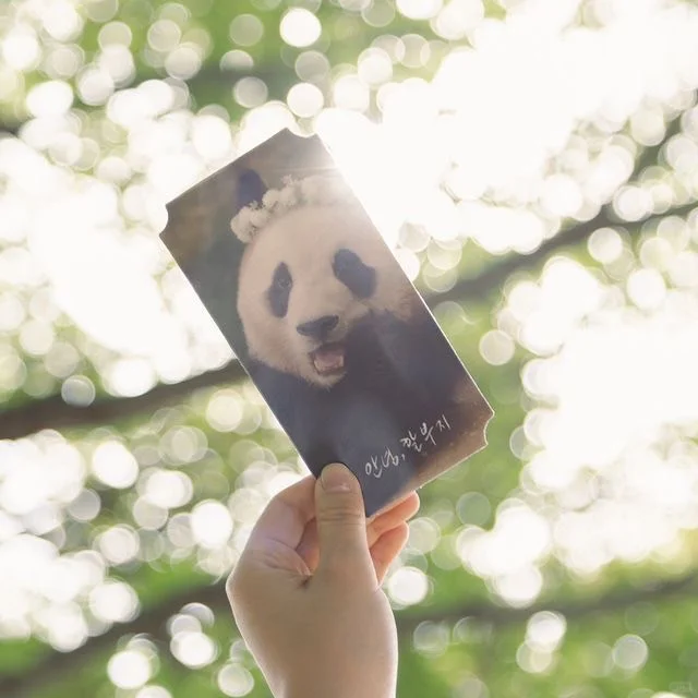 台灣➗福寶《再見，爺爺》電影套組🐼