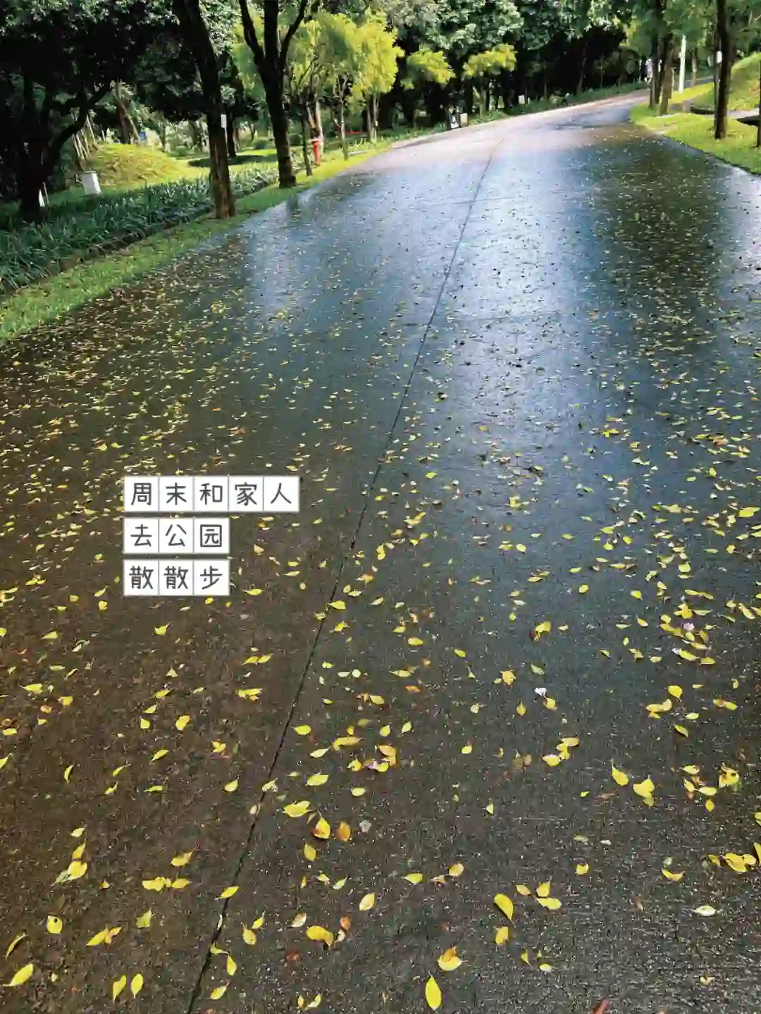 职场干货 | 软件测试面试题分享