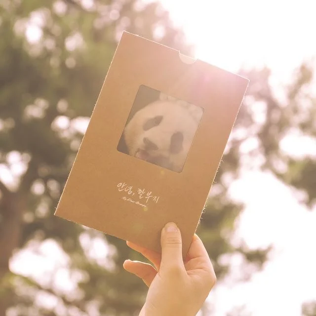 台灣➗福寶《再見，爺爺》電影套組🐼