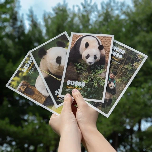 台灣➗福寶《再見，爺爺》電影套組🐼