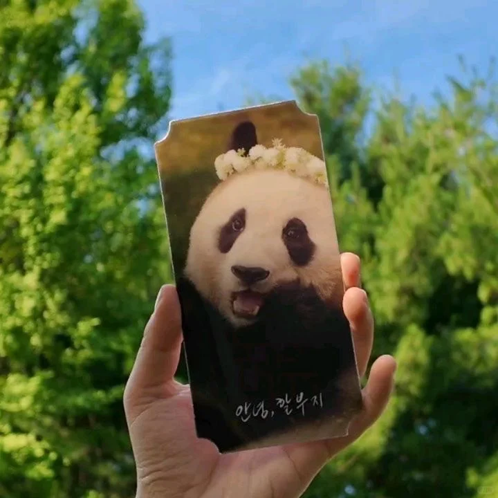 台灣➗福寶《再見，爺爺》電影套組🐼