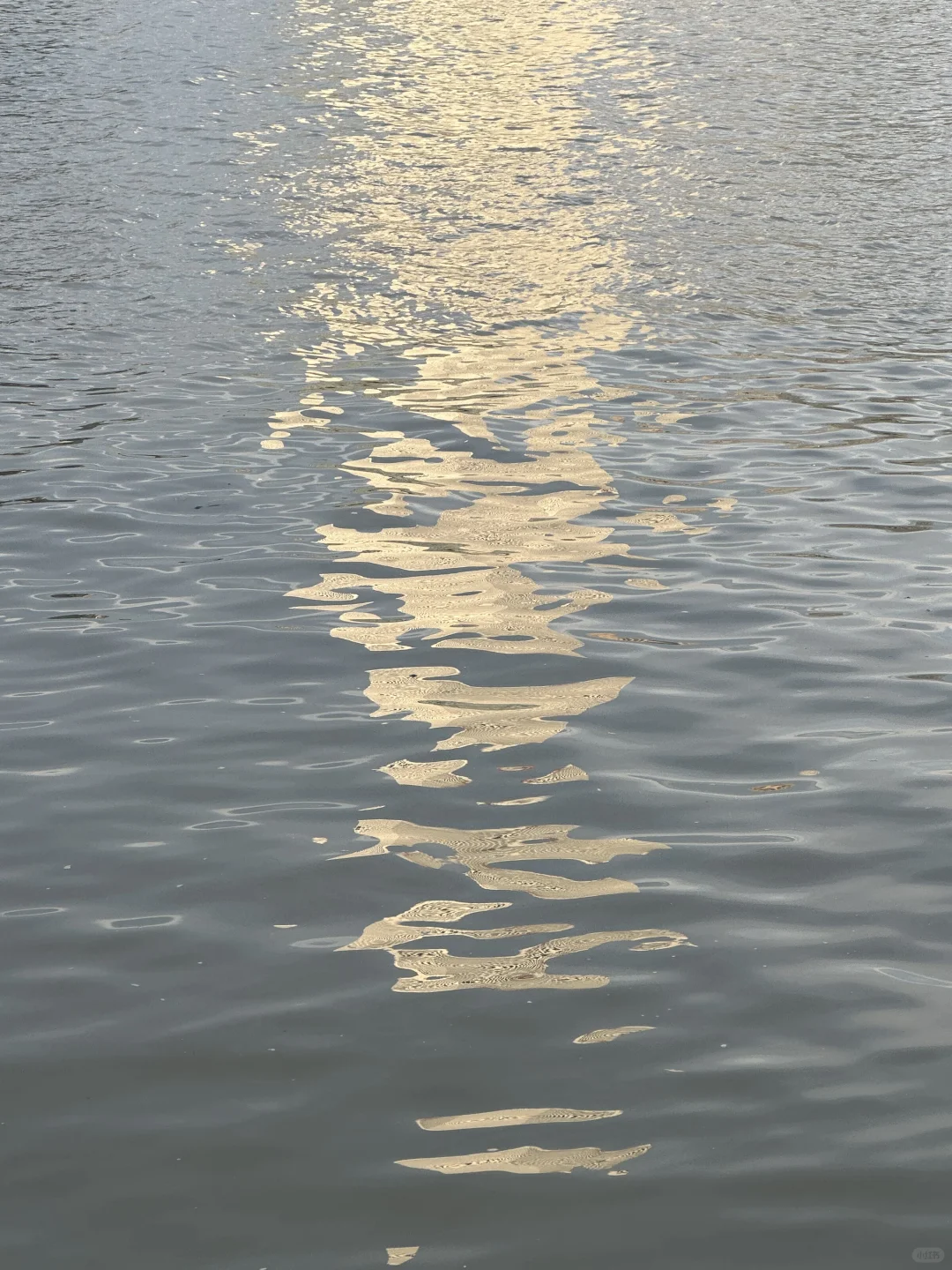 🎬滨江边看一场人生电影