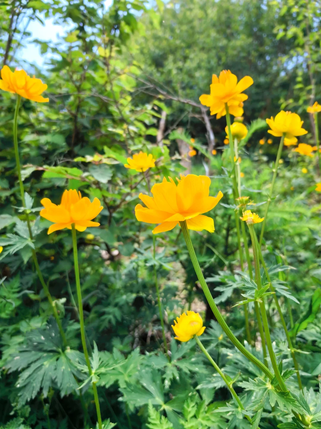 户外天气软件还准吗，西南灵的天是明朗的天
