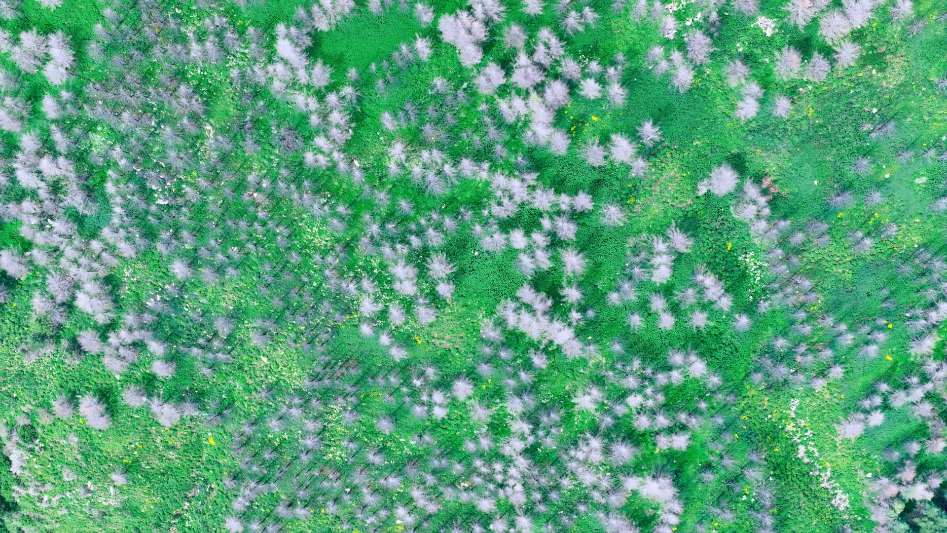 户外天气软件还准吗，西南灵的天是明朗的天