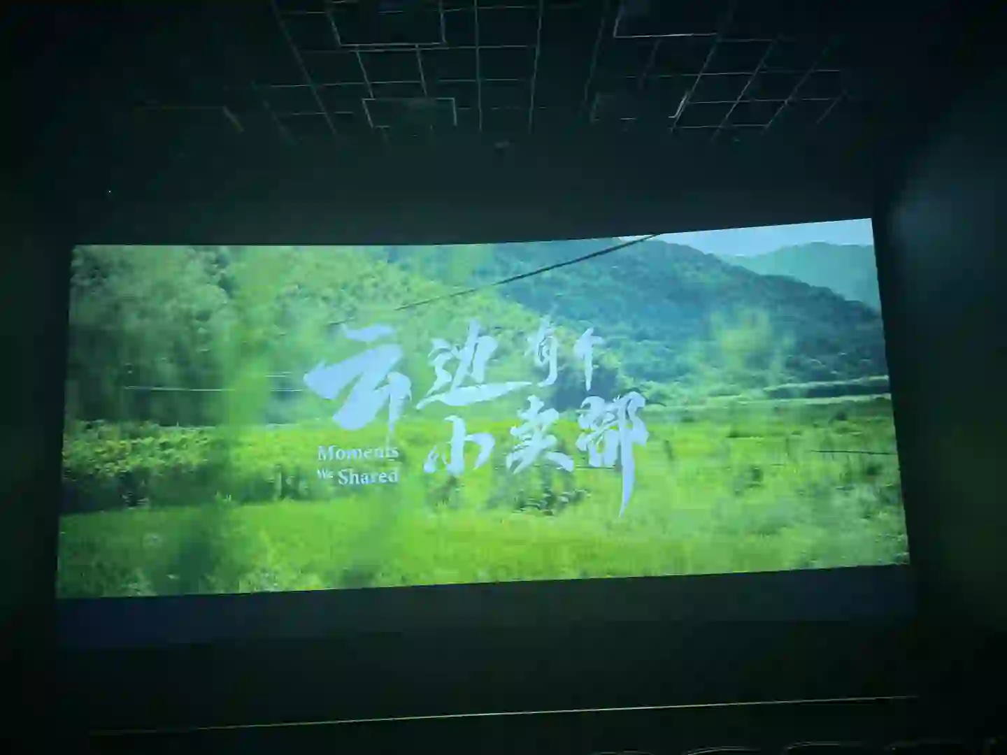 这个电影🎬怎么这样