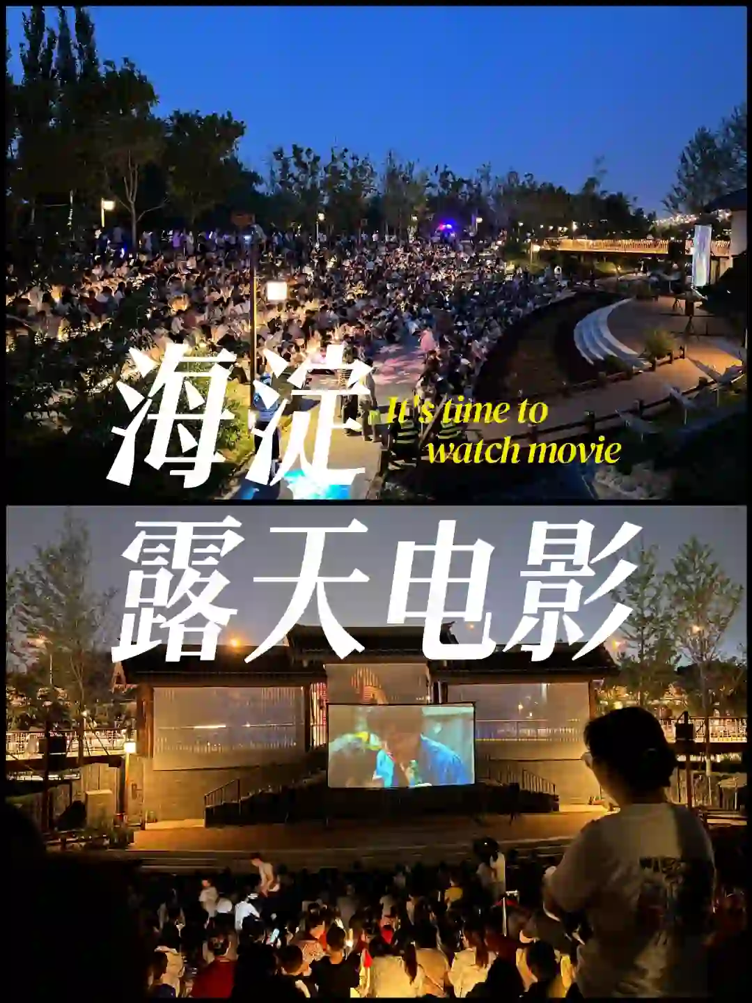 海淀有露天电影啦！就在清河之洲