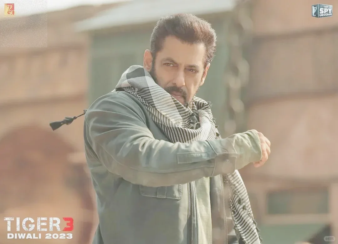 猛虎3｜2024硬汉动作爽片印度影史最贵电影