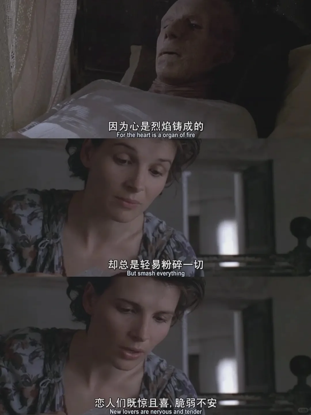 难怪刘亦菲会爱上这部电影🎬