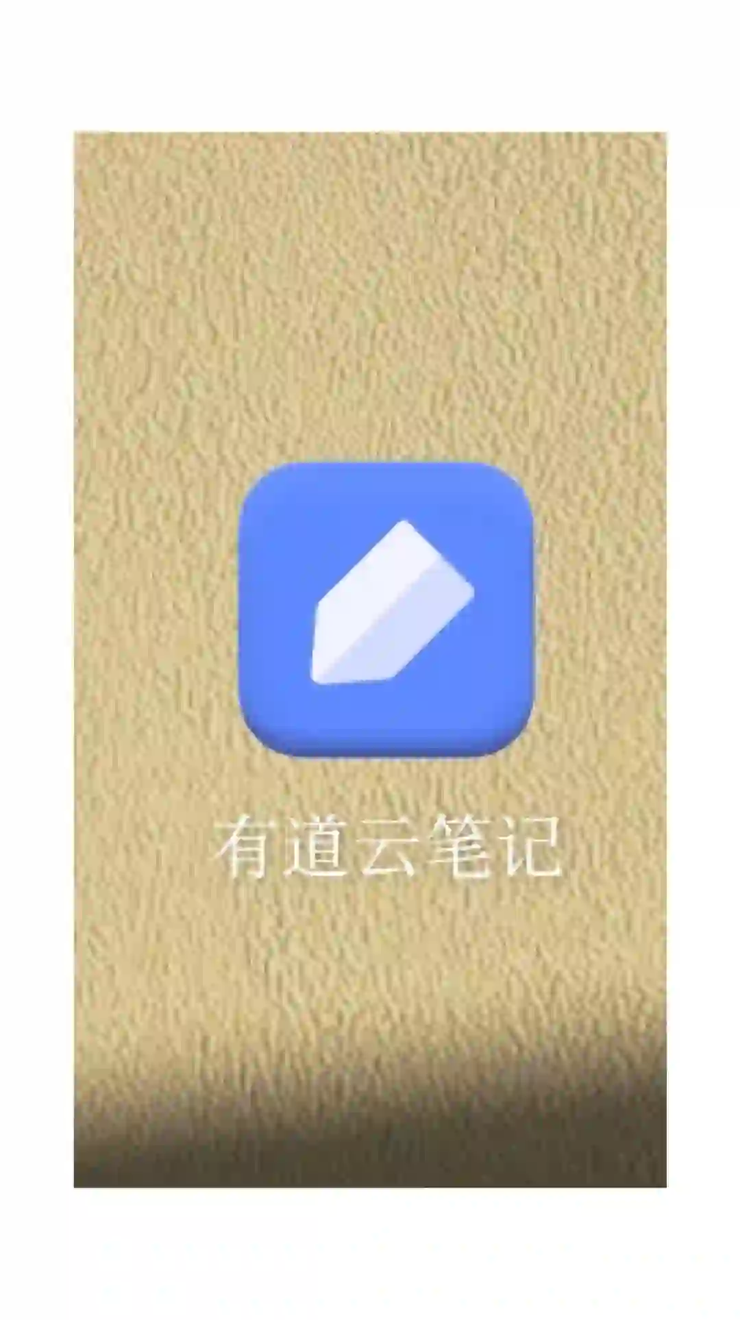 有道搭配，效率翻倍！