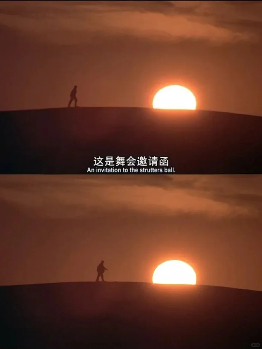 难怪刘亦菲会爱上这部电影🎬