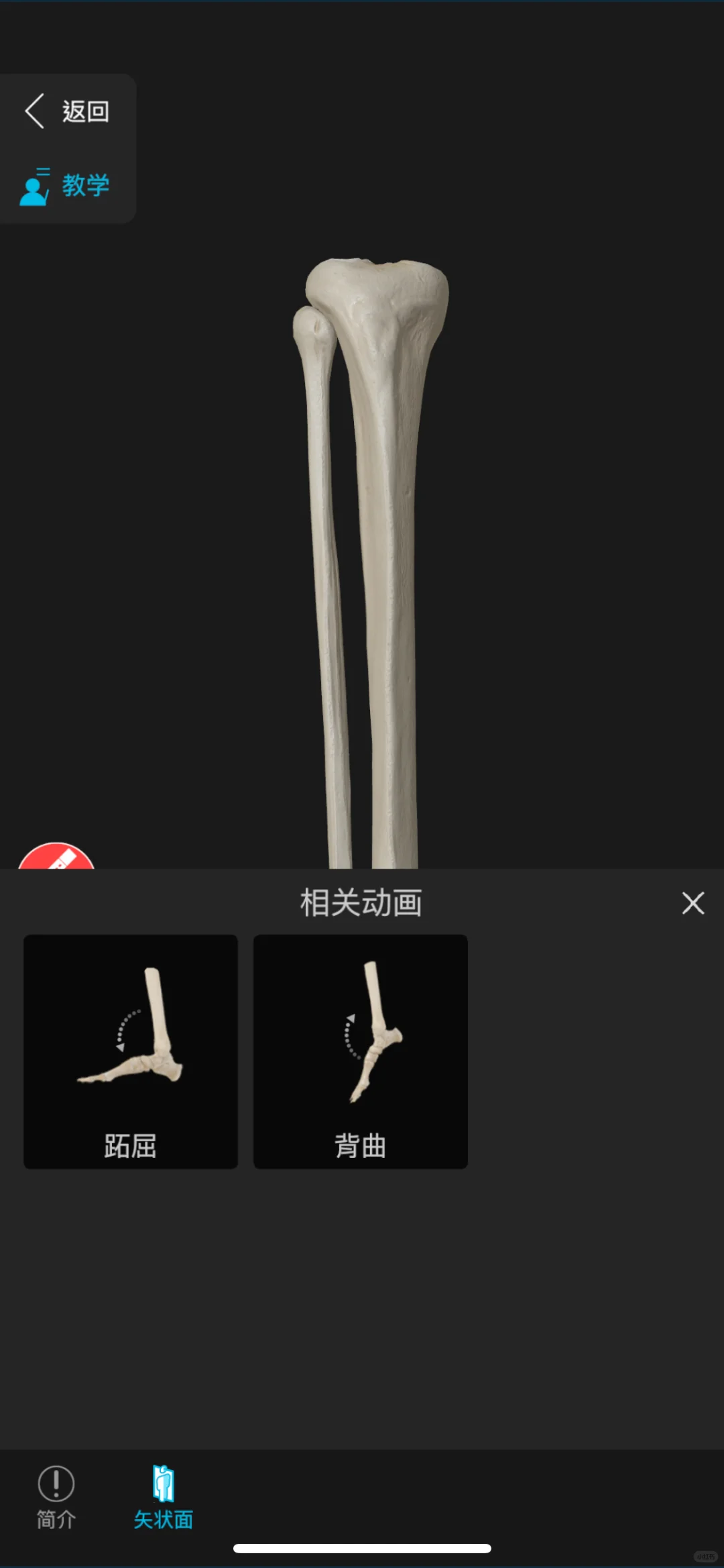 这些app已经更新到这种成都了吗？