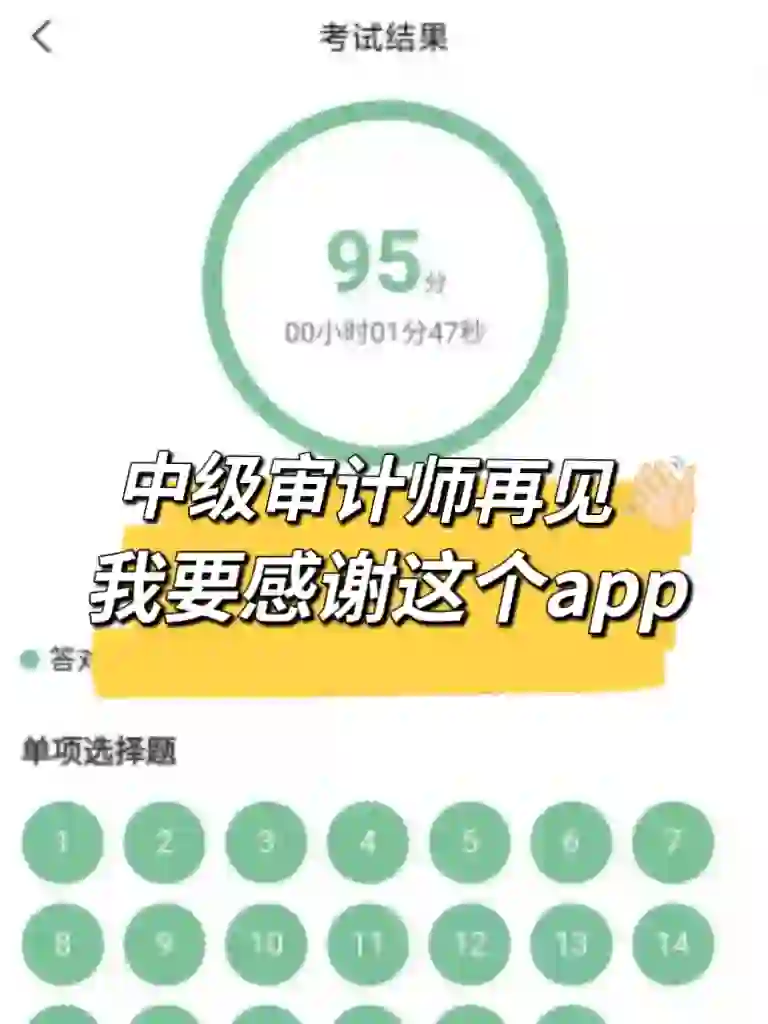 中级审计师～请死磕这个app😭刷完稳上岸