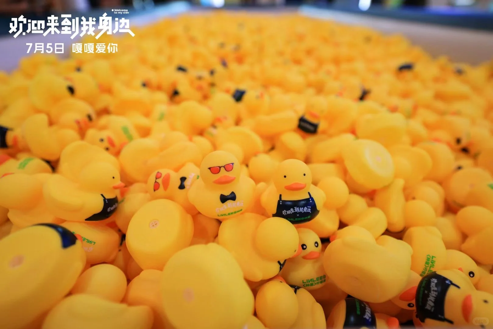 🎬《电影欢迎来到我身边 》首映礼