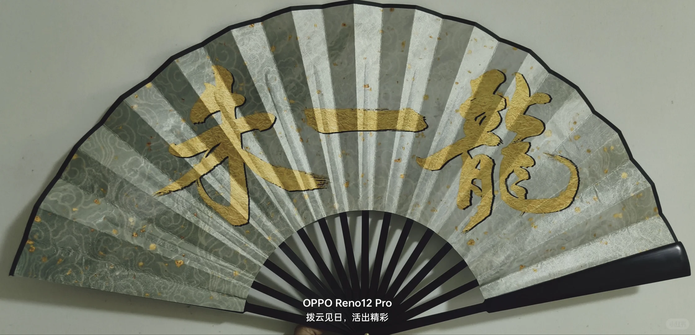 戴着扇子去看龙哥的电影