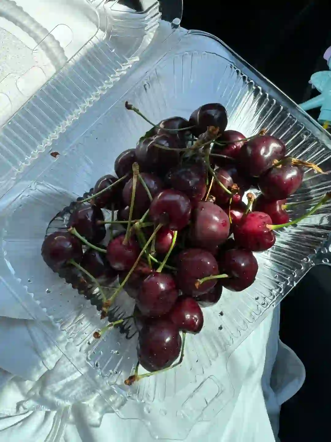 求助帖 安卓or苹果