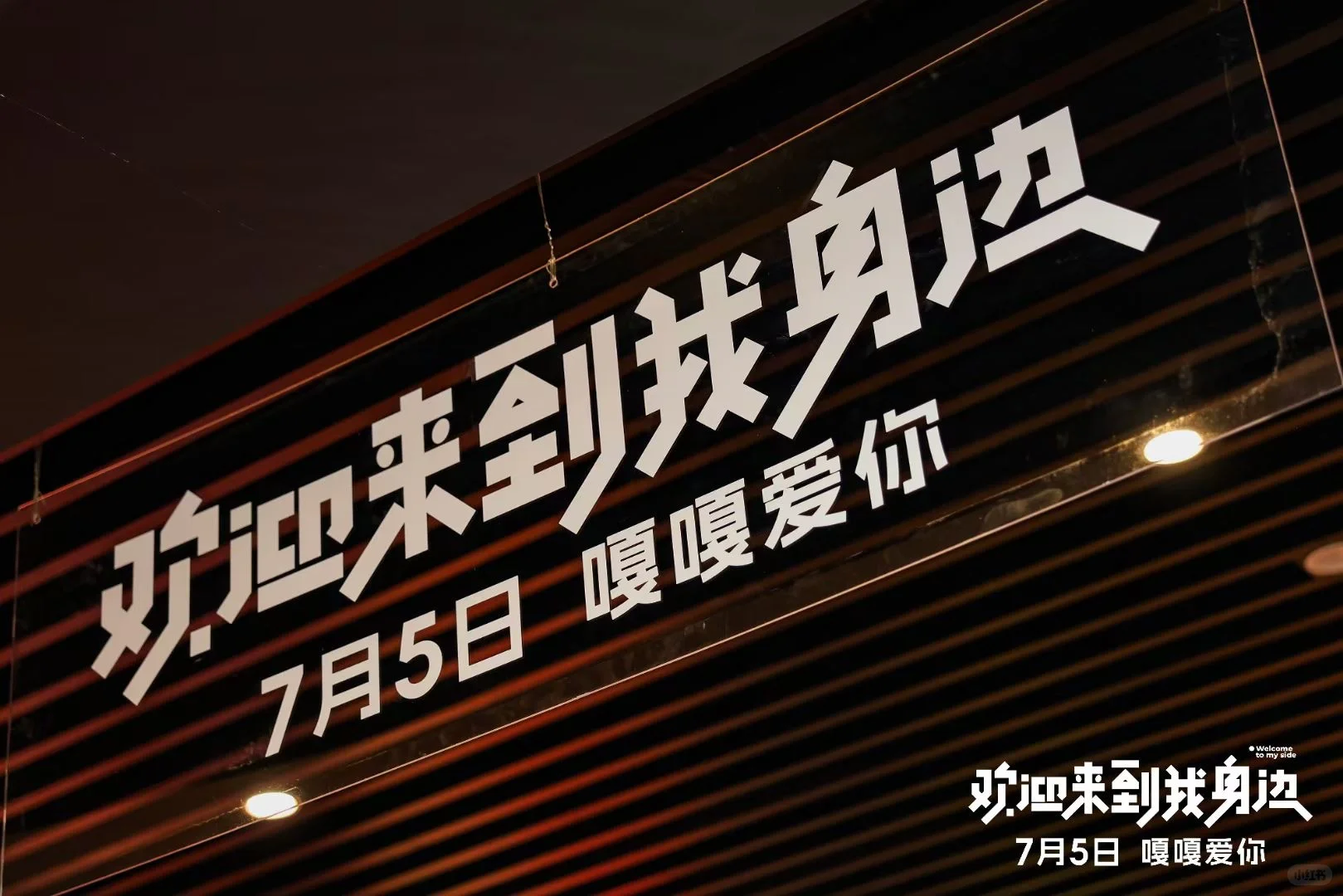 🎬《电影欢迎来到我身边 》首映礼