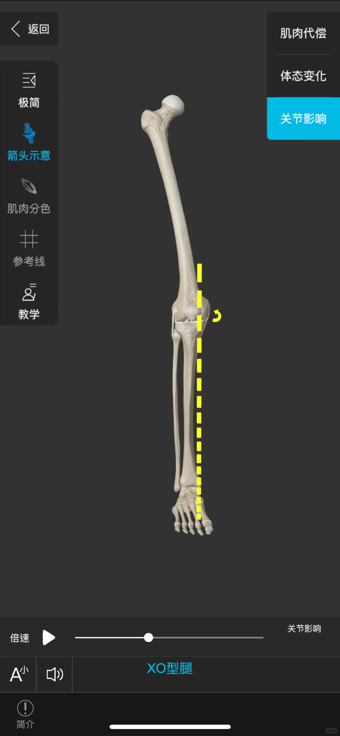 这些app已经更新到这种成都了吗？