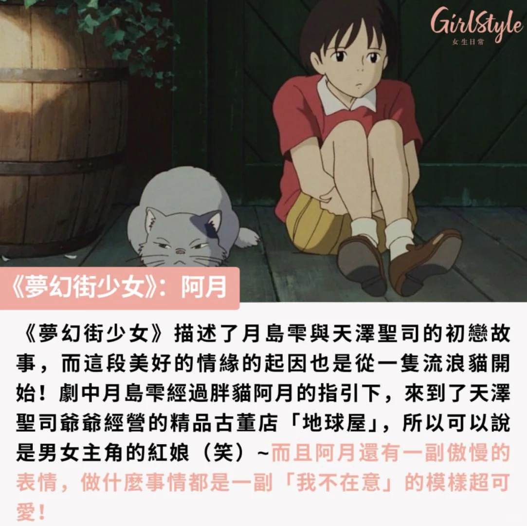 吉卜力电影疗愈人心的动物角色TOP 10!