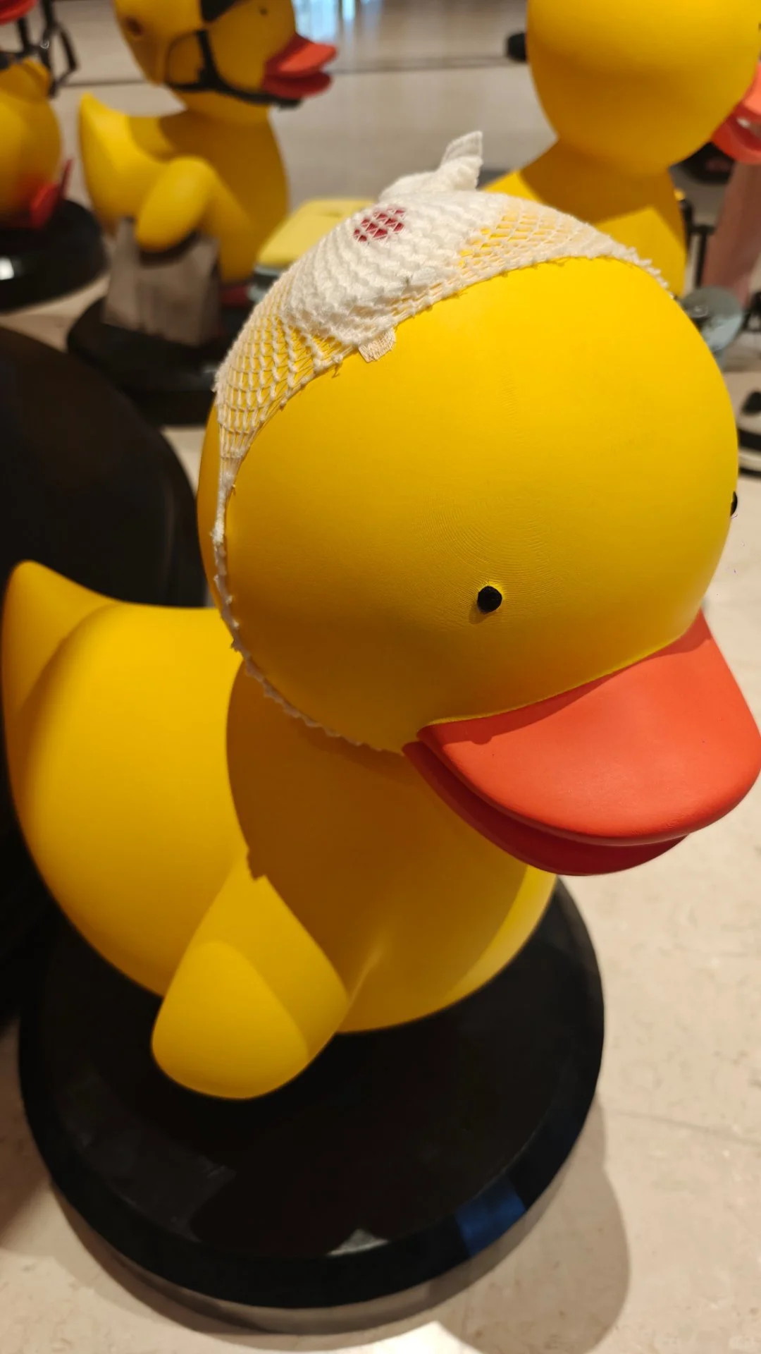 这电影我要看！这鸭子好可爱！