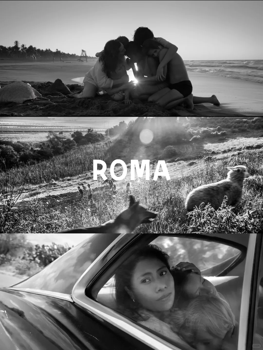 经典电影推荐 与过去和解 女性力量觉醒🔥🔥