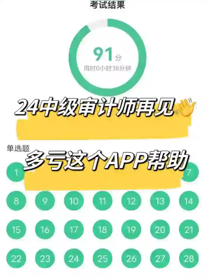 24审计师书太厚啃不动了！死磕这个app吧