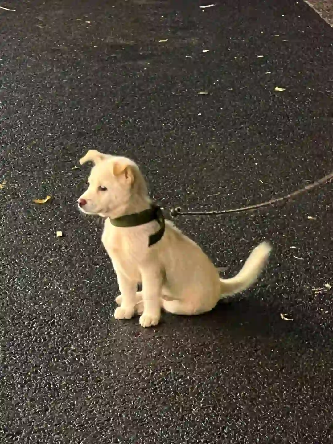 温州有人看电影吗