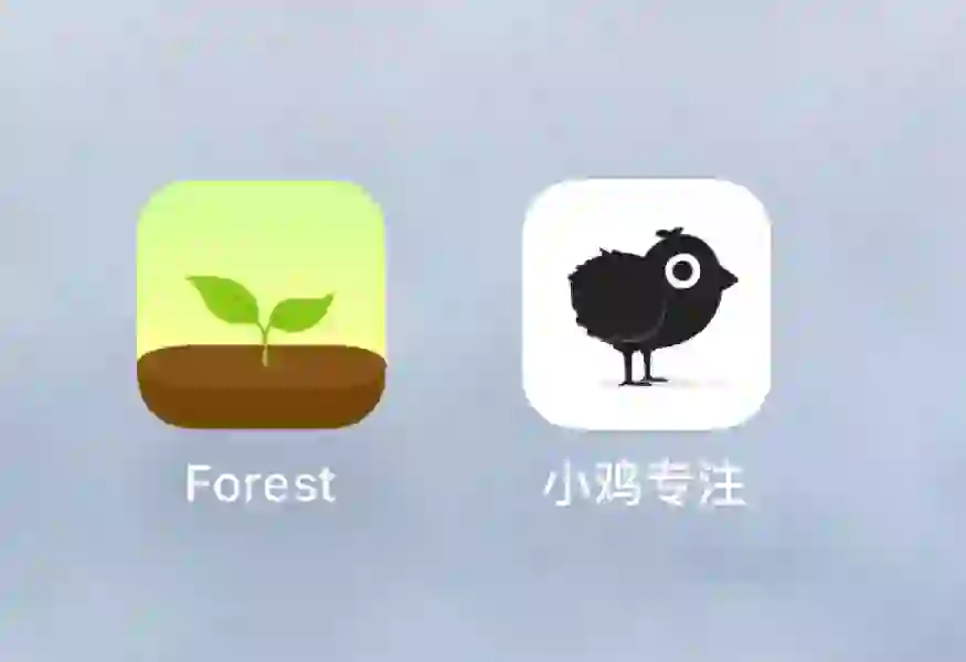 专注app