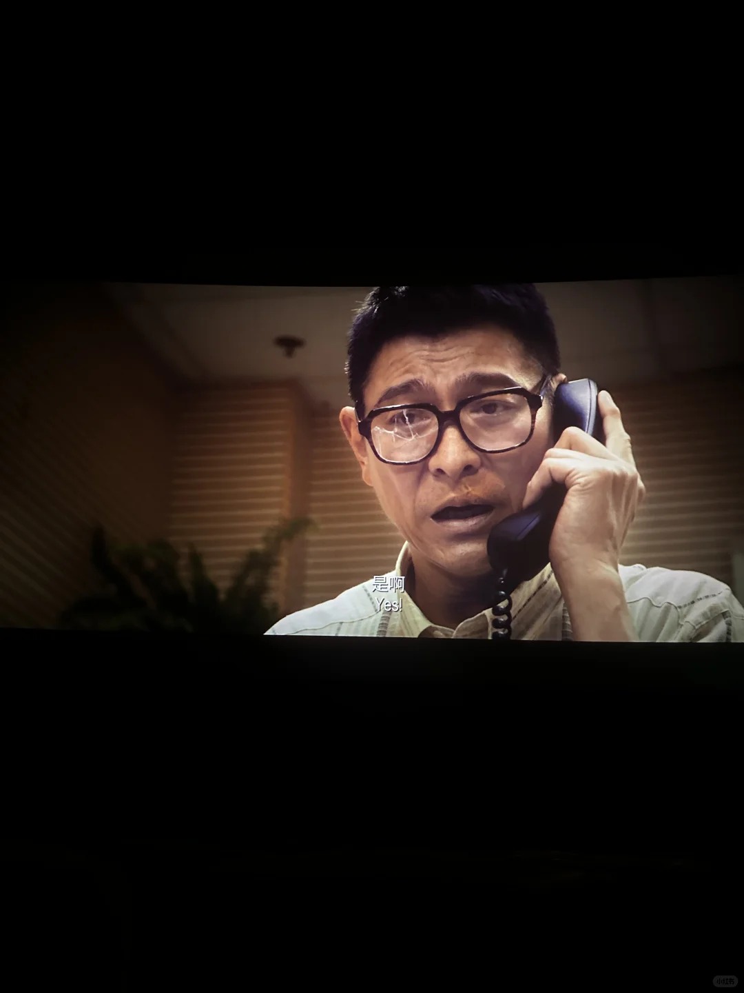 我又来看电影啦,有我的最爱吴镇宇