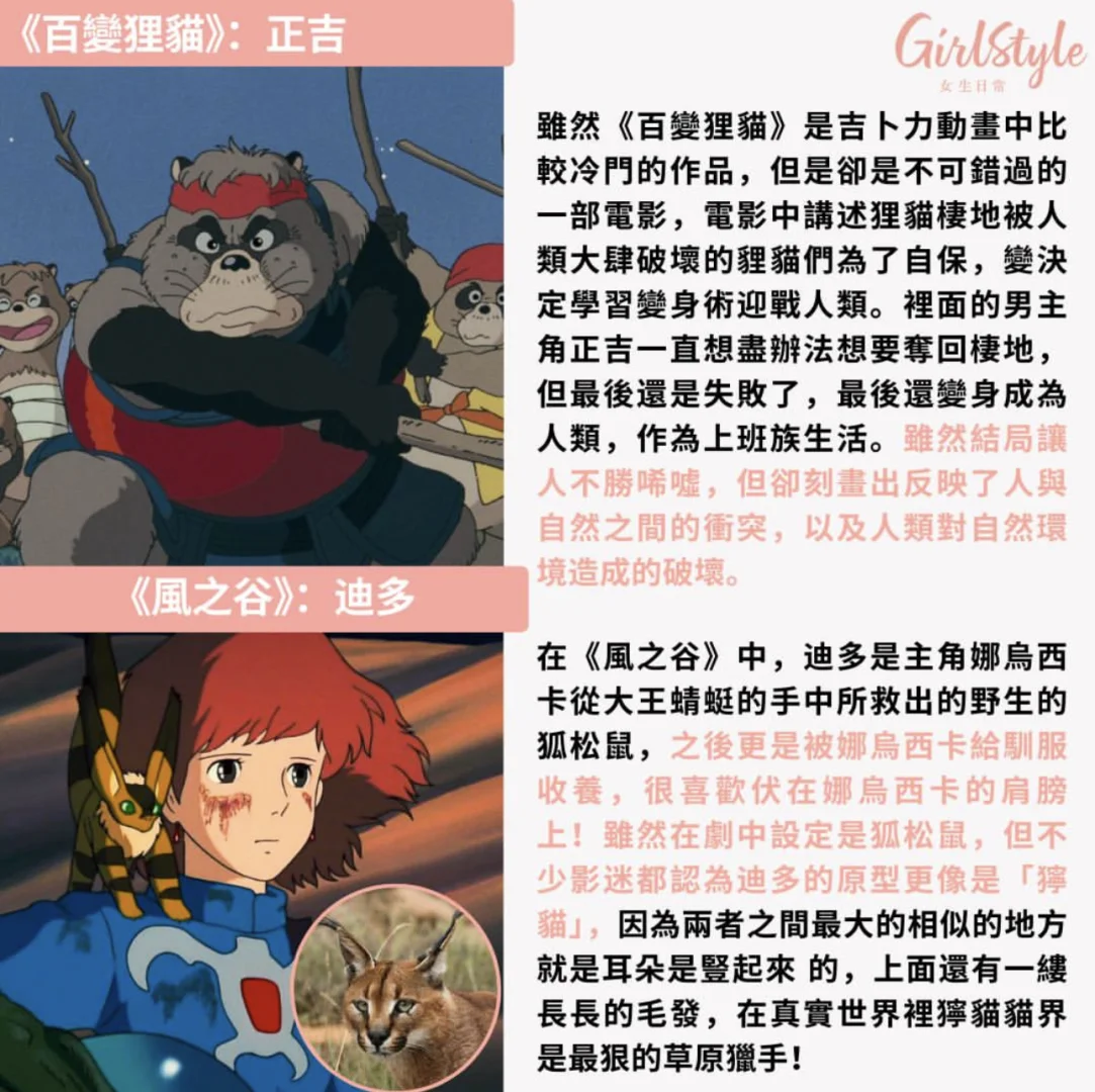 吉卜力电影疗愈人心的动物角色TOP 10!