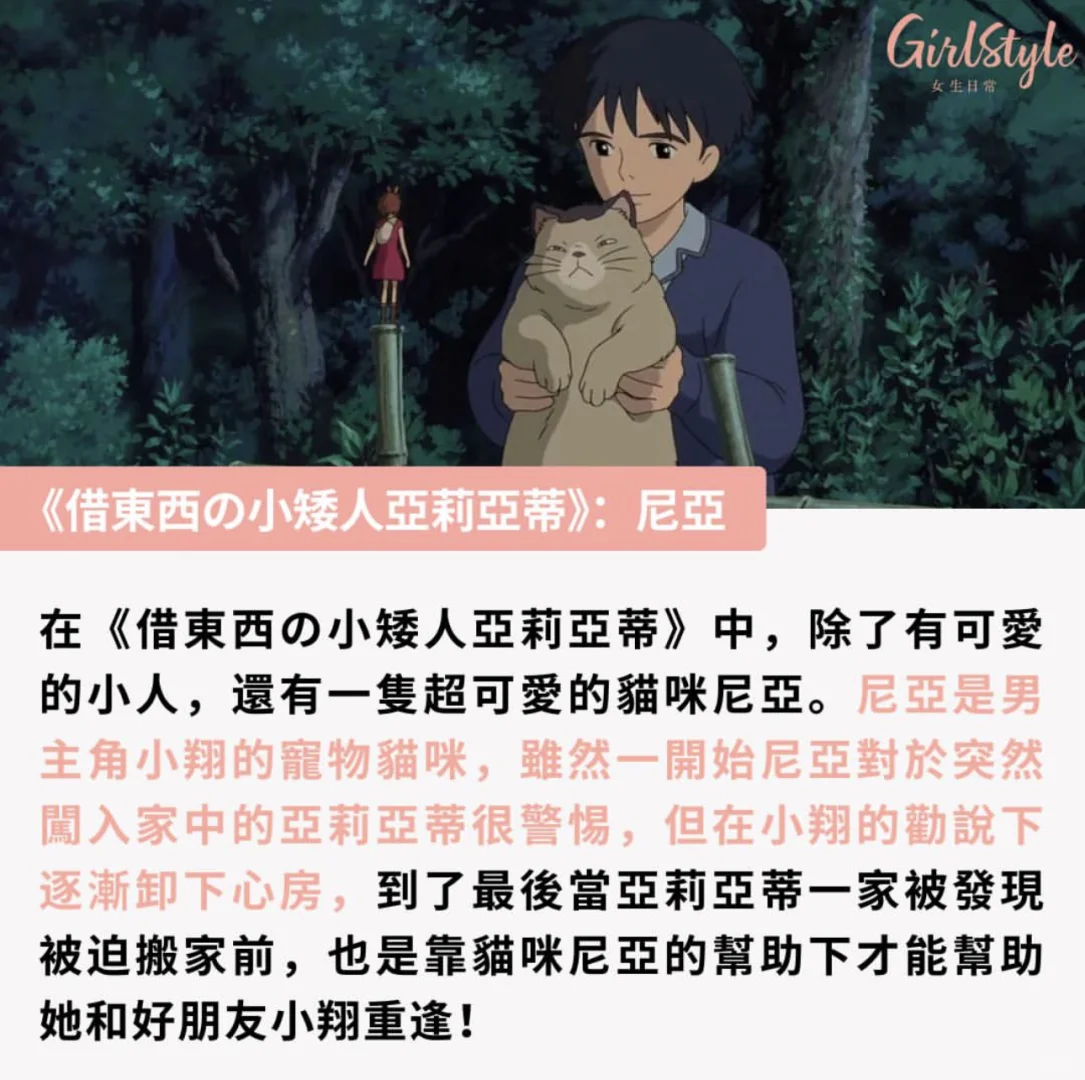 吉卜力电影疗愈人心的动物角色TOP 10!