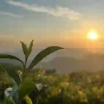 金蝶精斗云云进销存软件是金蝶集团旗下专为