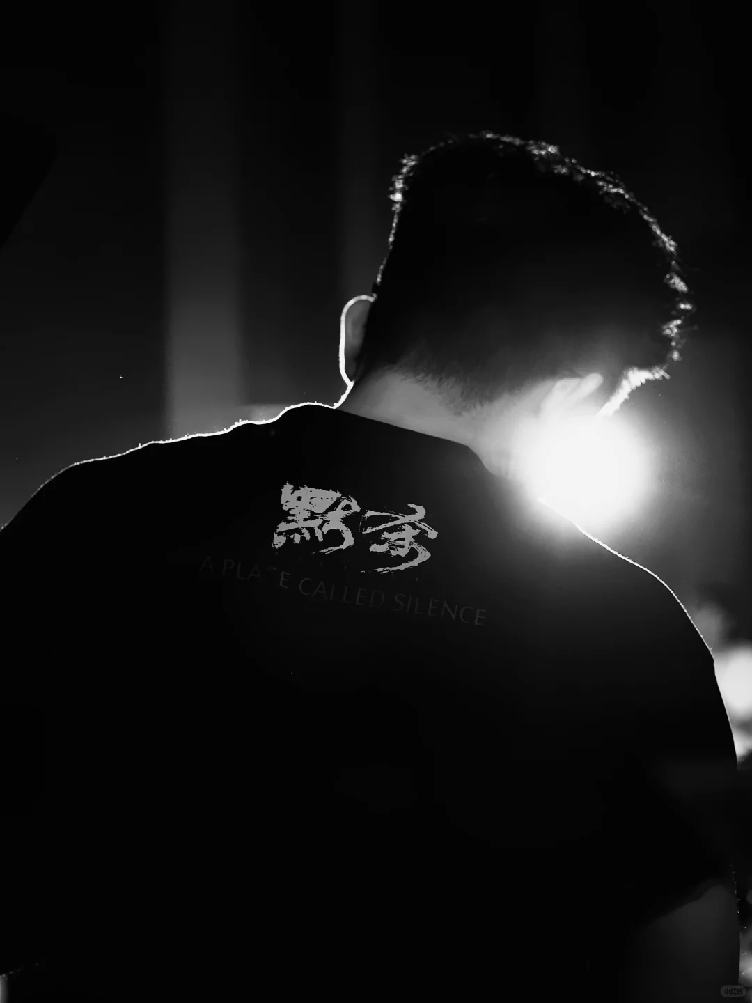 主持电影《默杀》首映礼