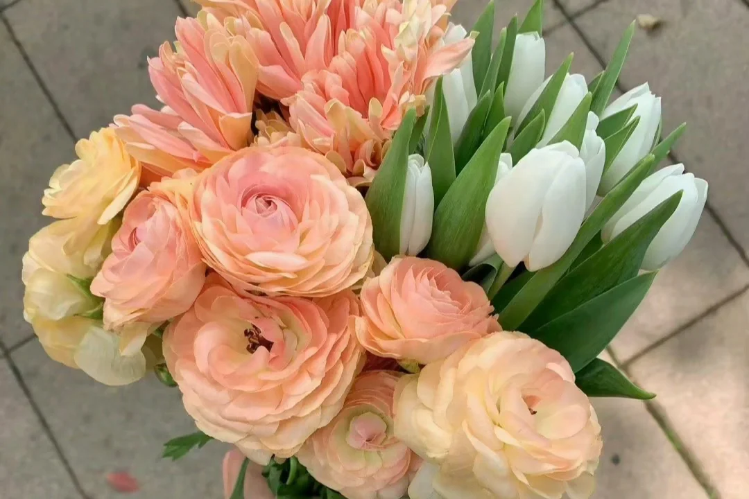 Dazz📷丨苹果免费胶片相机app拍照推荐