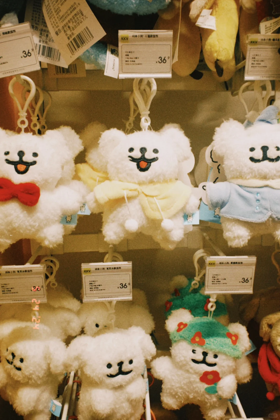 Dazz📷丨苹果免费胶片相机app拍照推荐