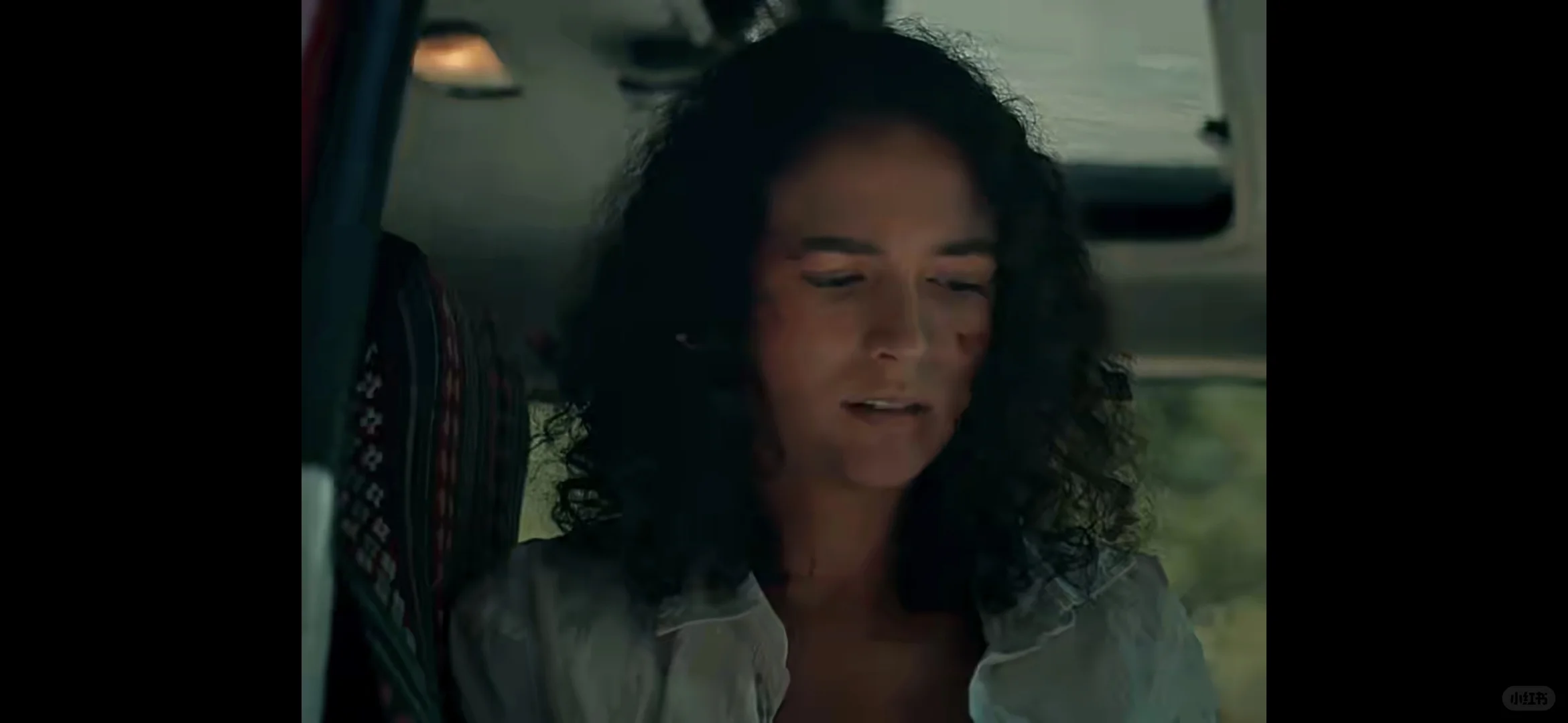 电影《暴力本性》(加拿大)