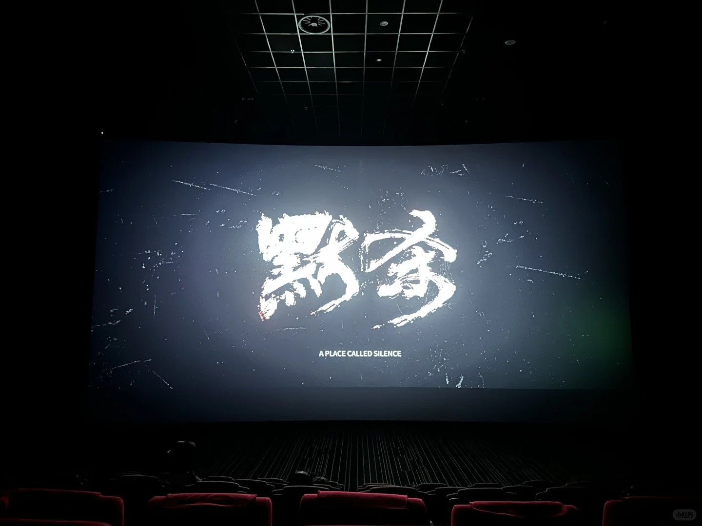 休息日🤔电影🎬《默杀》看了!